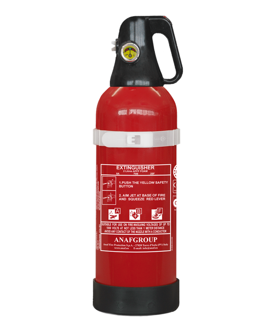 ANAFGROUP FS2-P