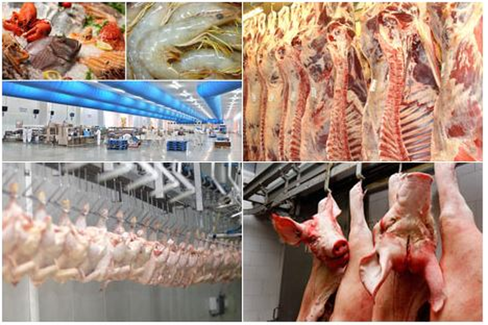 Indústria Fornecedora de Peixaria e Talho