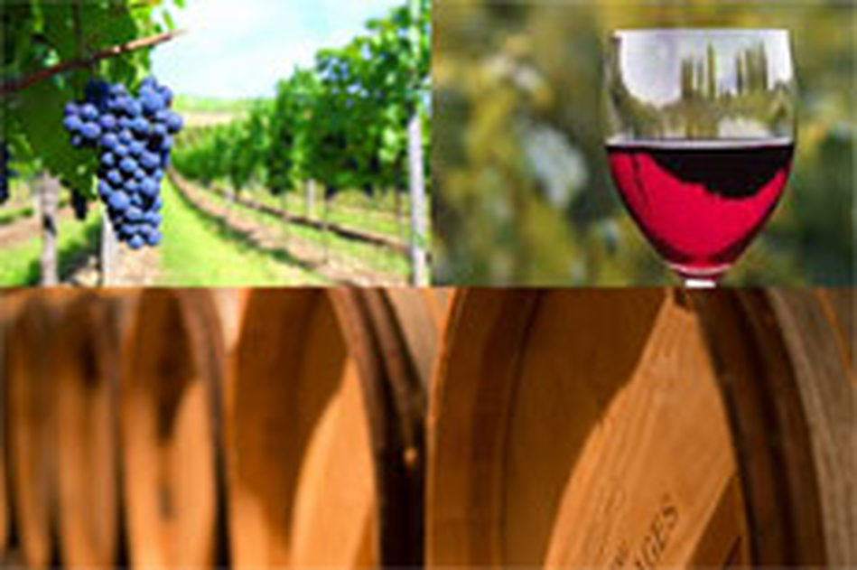 Indústria de vinhos e bebidas alcoólicas